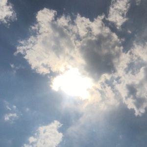 Meet your Posher, Brandy